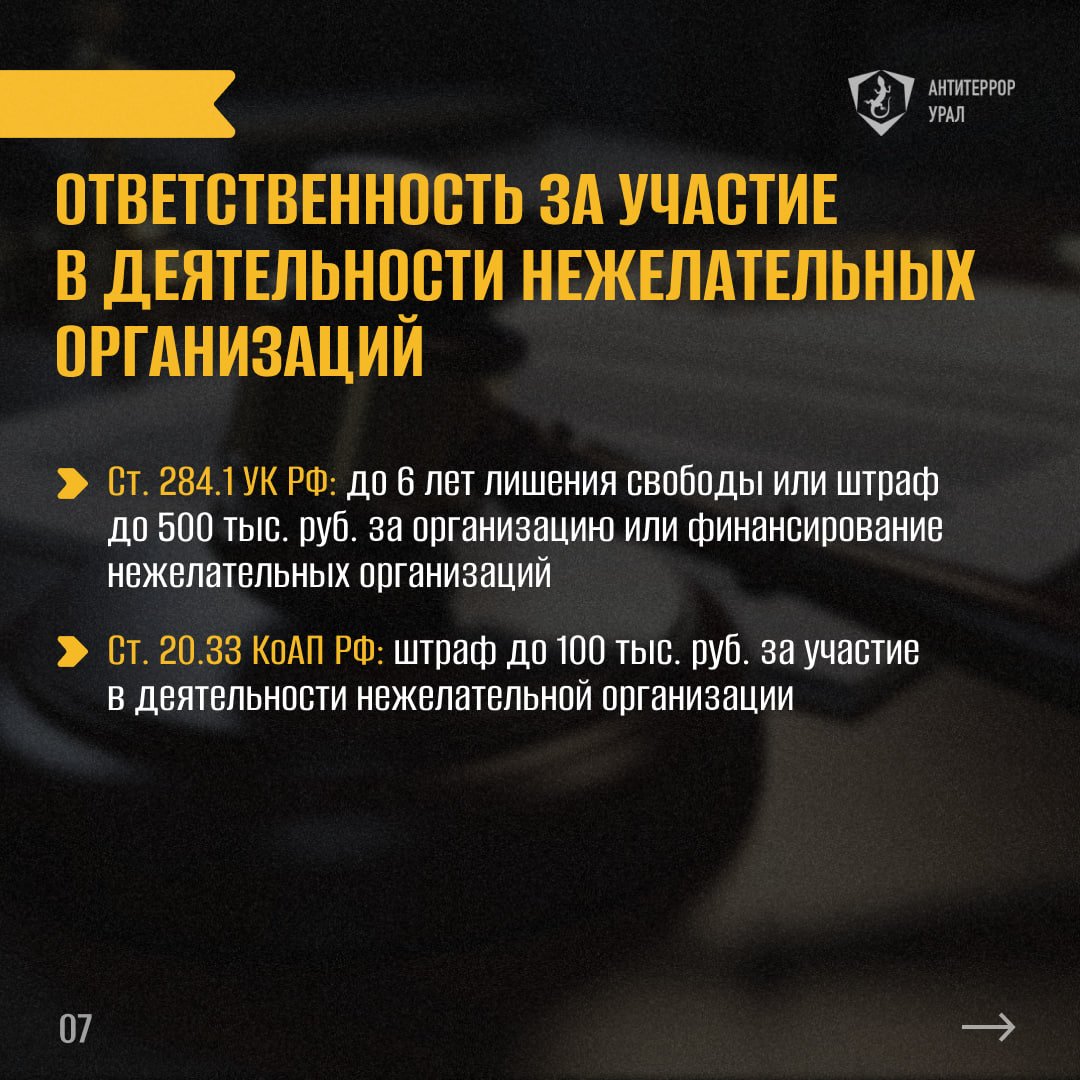 09887рт5ками.jpg